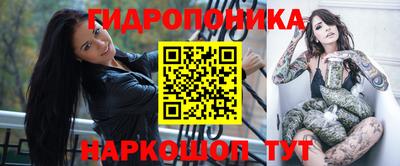 стафф Будённовск