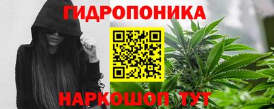 стафф Будённовск