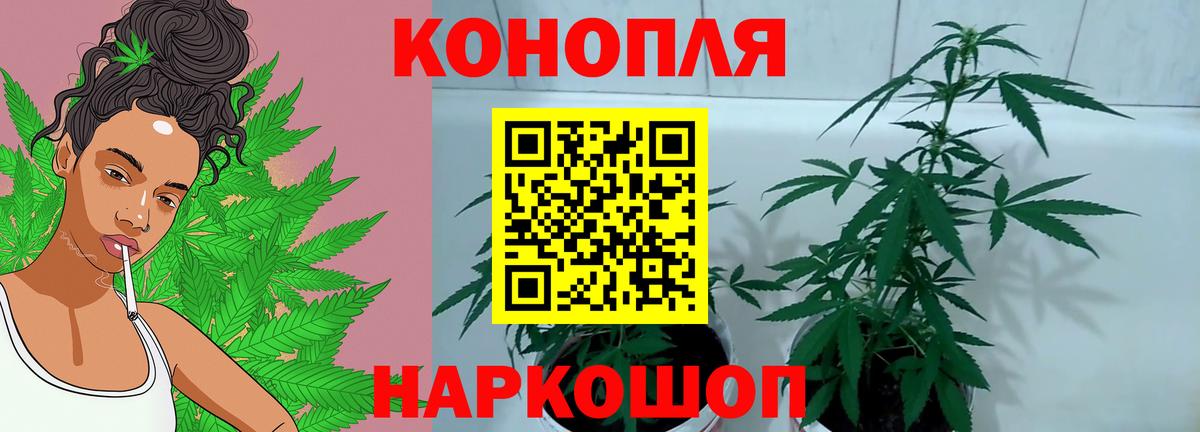 Миасс  Каннабис план  Вход с VPN  Каннабис планчик  Конопля сатива  Марихуана MAZAR 